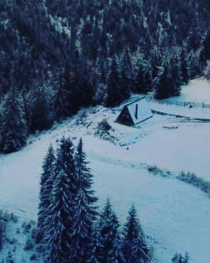 Hotel La Koltau A-Frame Mărişel Esterno foto