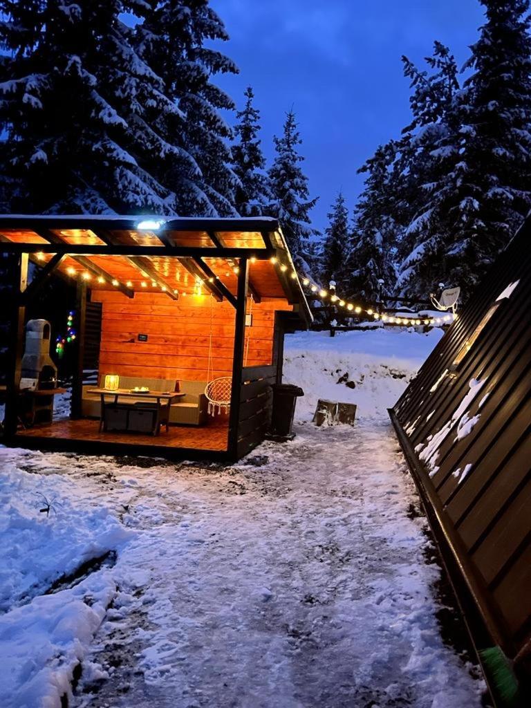 Hotel La Koltau A-Frame Mărişel Esterno foto